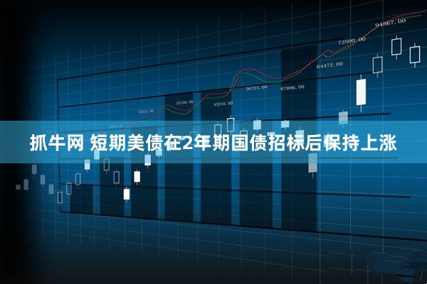 抓牛网 短期美债在2年期国债招标后保持上涨