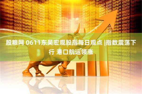 股粮网 0611东吴宏观股指每日观点 |指数震荡下行 港口航运领涨