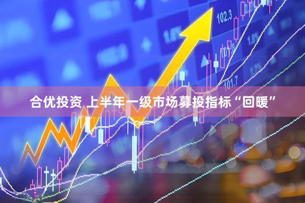 合优投资 上半年一级市场募投指标“回暖”
