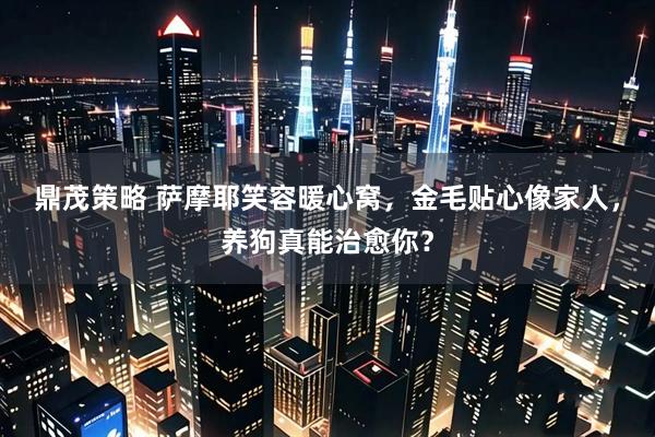 鼎茂策略 萨摩耶笑容暖心窝，金毛贴心像家人，养狗真能治愈你？