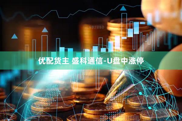 优配货主 盛科通信-U盘中涨停