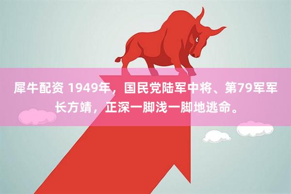犀牛配资 1949年，国民党陆军中将、第79军军长方靖，正深一脚浅一脚地逃命。