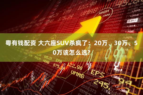 粤有钱配资 大六座SUV杀疯了:20万、30万、50万该怎么选?