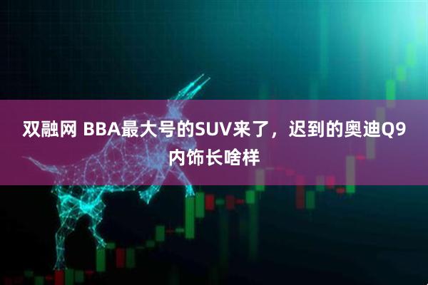 双融网 BBA最大号的SUV来了，迟到的奥迪Q9内饰长啥样